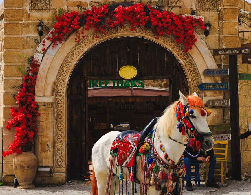 decorated horse in mardin s historic architecture