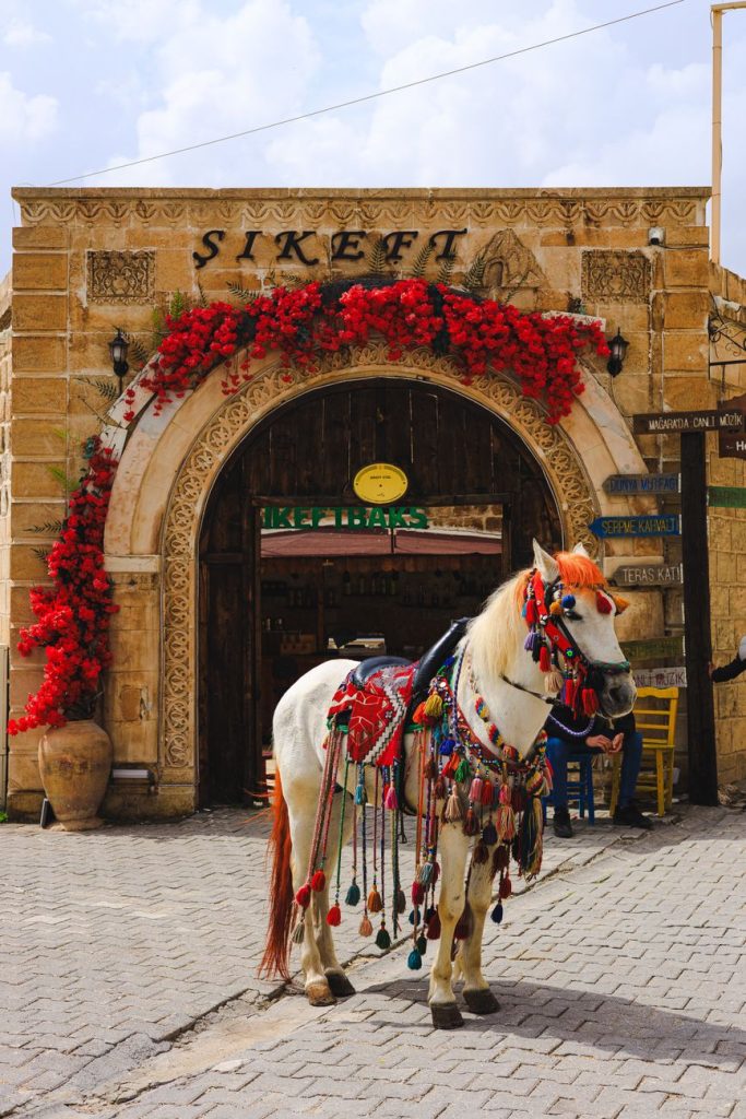 decorated horse in mardin s historic architecture